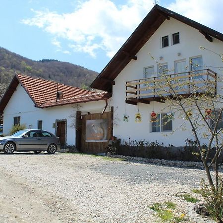 Casa Veverita Guest House Predelut Exterior photo