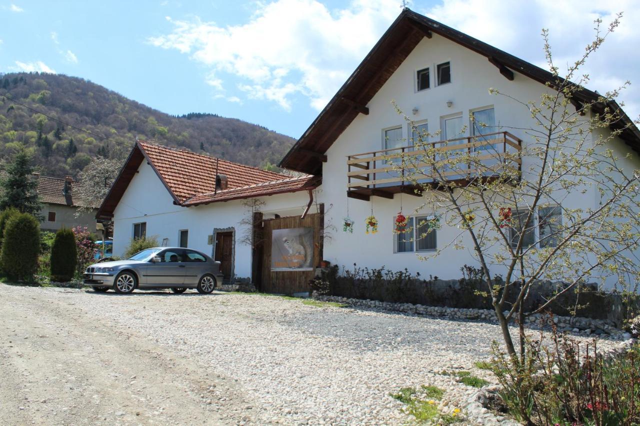 Casa Veverita Guest House Predelut Exterior photo